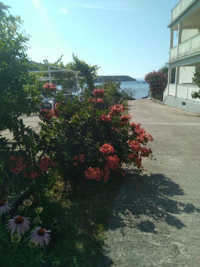 Apartments Kampor Damira 라브 외부 사진